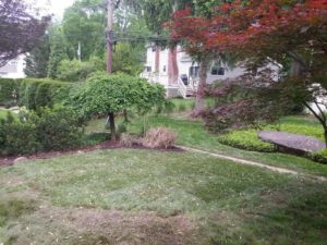 New Castle County landscaping