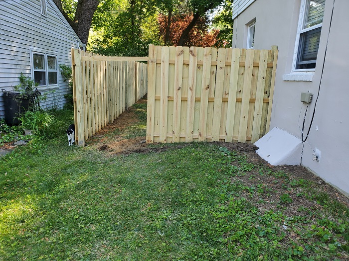 Fence in yard
