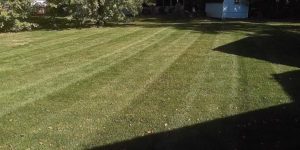 Lawn and grass cutting