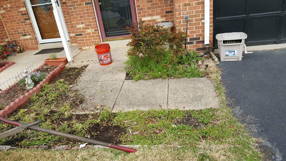 Before landscaping